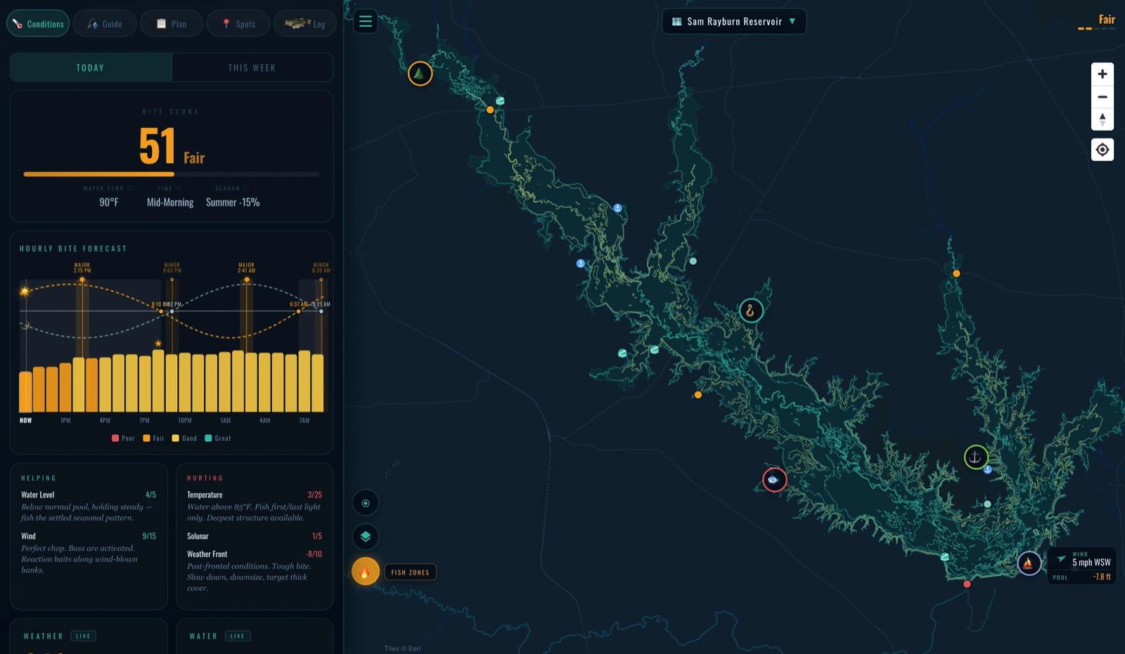 Live conditions and hourly bite forecast — Sam Rayburn Reservoir, Texas