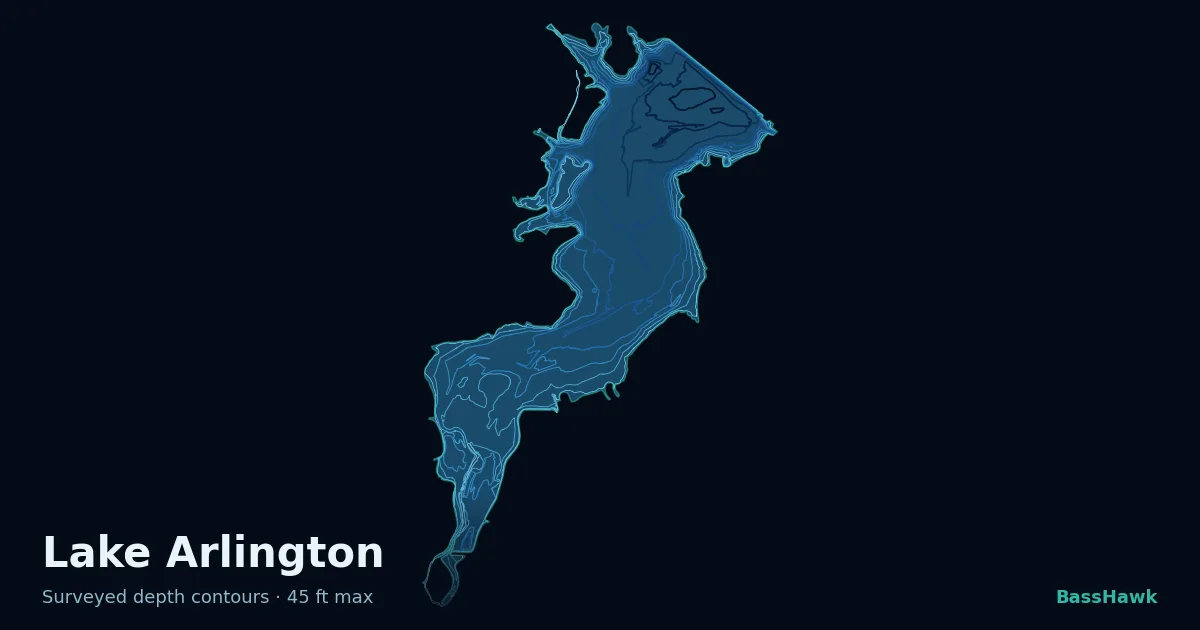 Lake Arlington depth contours — shallow flats bright, the creek channel and deep basin dark