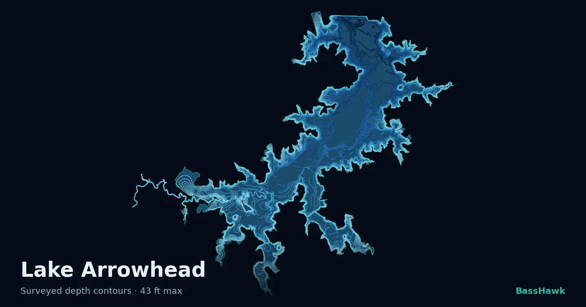 Lake Arrowhead depth contours — shallow flats bright, the creek channel and deep basin dark