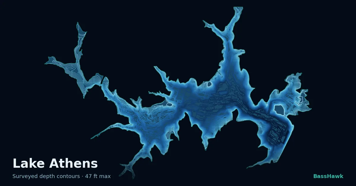 Lake Athens depth contours — shallow flats bright, the creek channel and deep basin dark