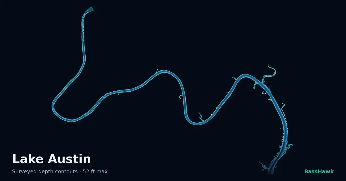 Lake Austin depth contours — shallow flats bright, the creek channel and deep basin dark