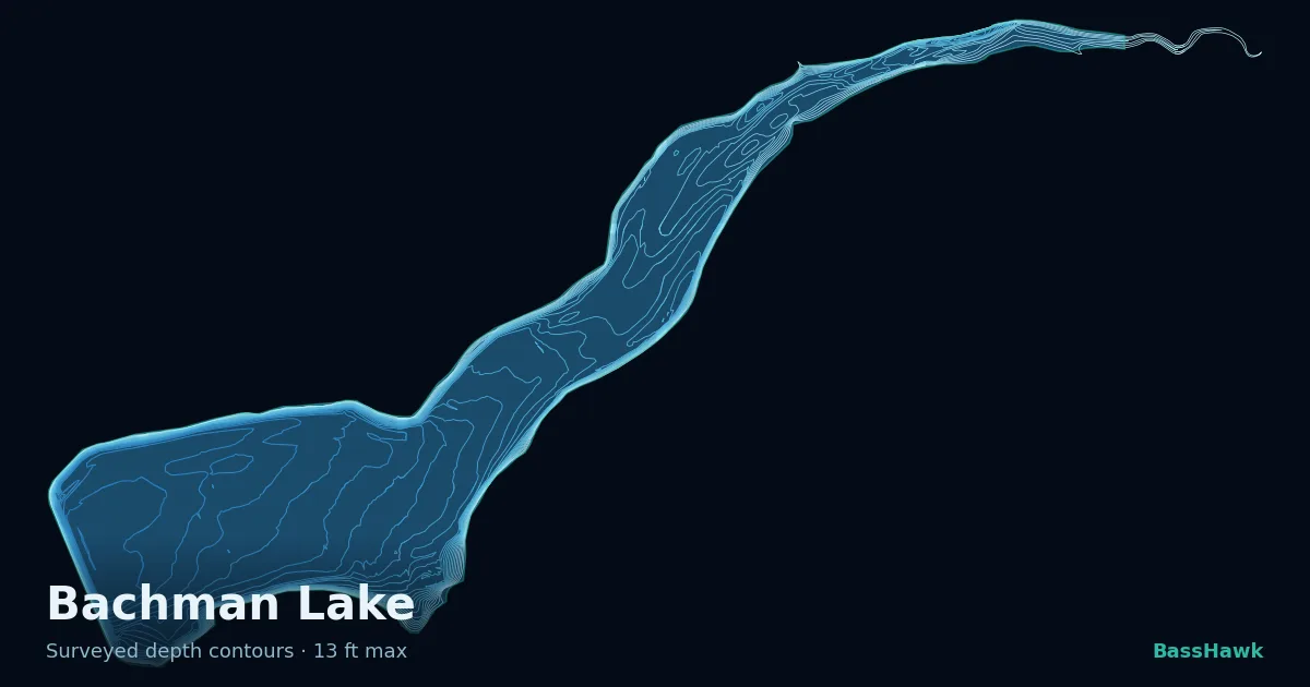Bachman Lake depth contours — shallow flats bright, the creek channel and deep basin dark