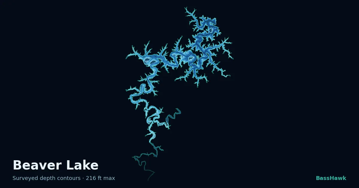 Beaver Lake depth contours — shallow flats bright, the creek channel and deep basin dark