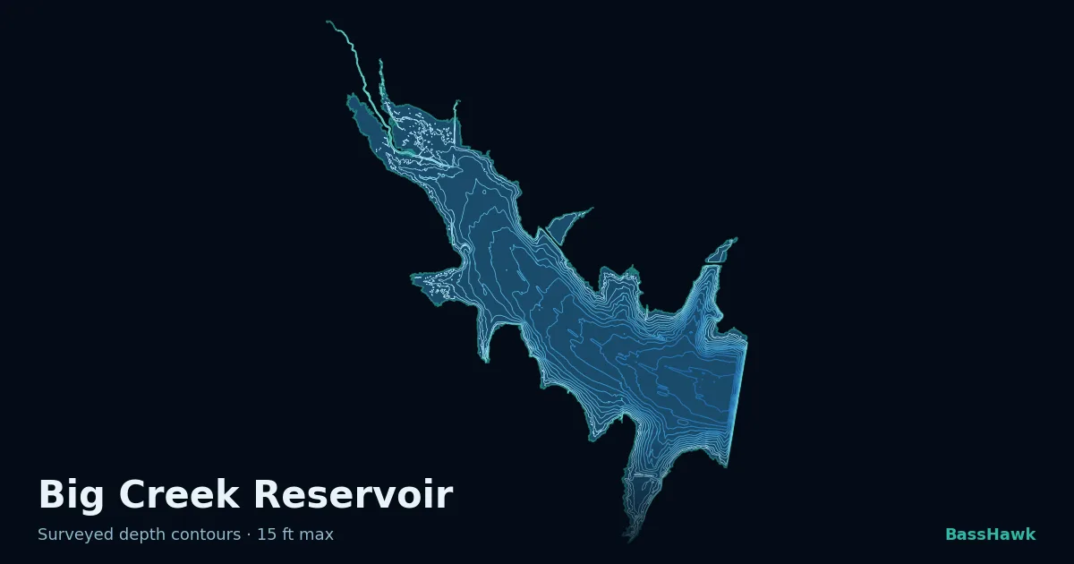 Big Creek Reservoir depth contours — shallow flats bright, the creek channel and deep basin dark