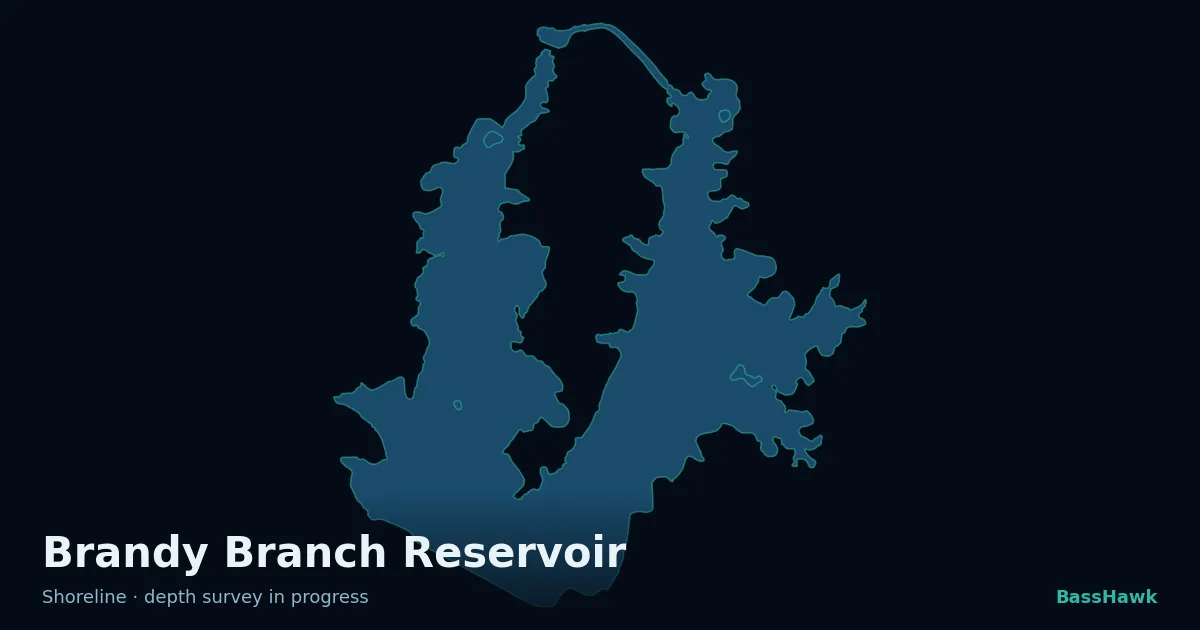 Brandy Branch Reservoir shoreline outline