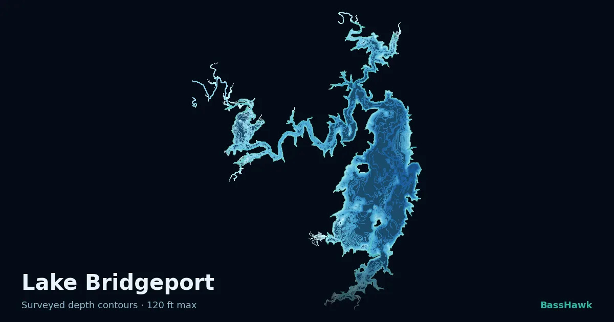 Lake Bridgeport depth contours — shallow flats bright, the creek channel and deep basin dark
