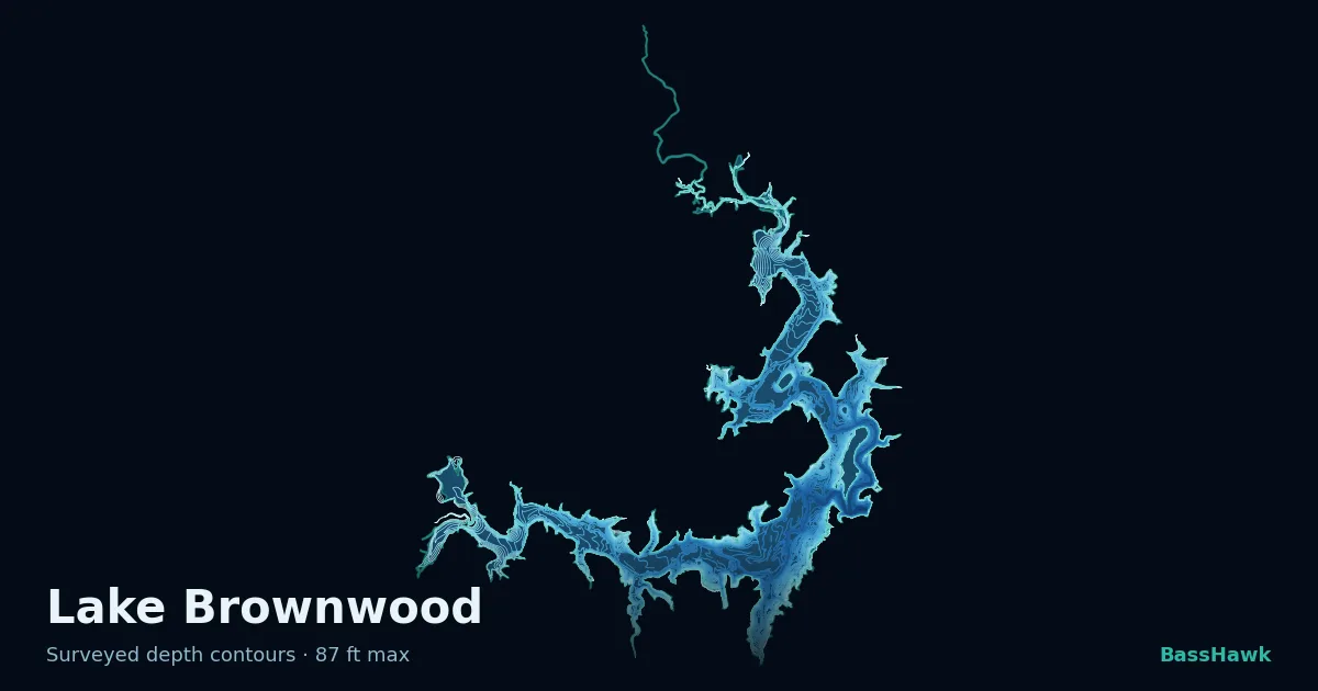 Lake Brownwood depth contours — shallow flats bright, the creek channel and deep basin dark