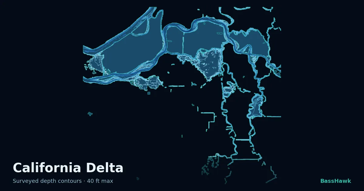 California Delta depth contours — shallow flats bright, the creek channel and deep basin dark