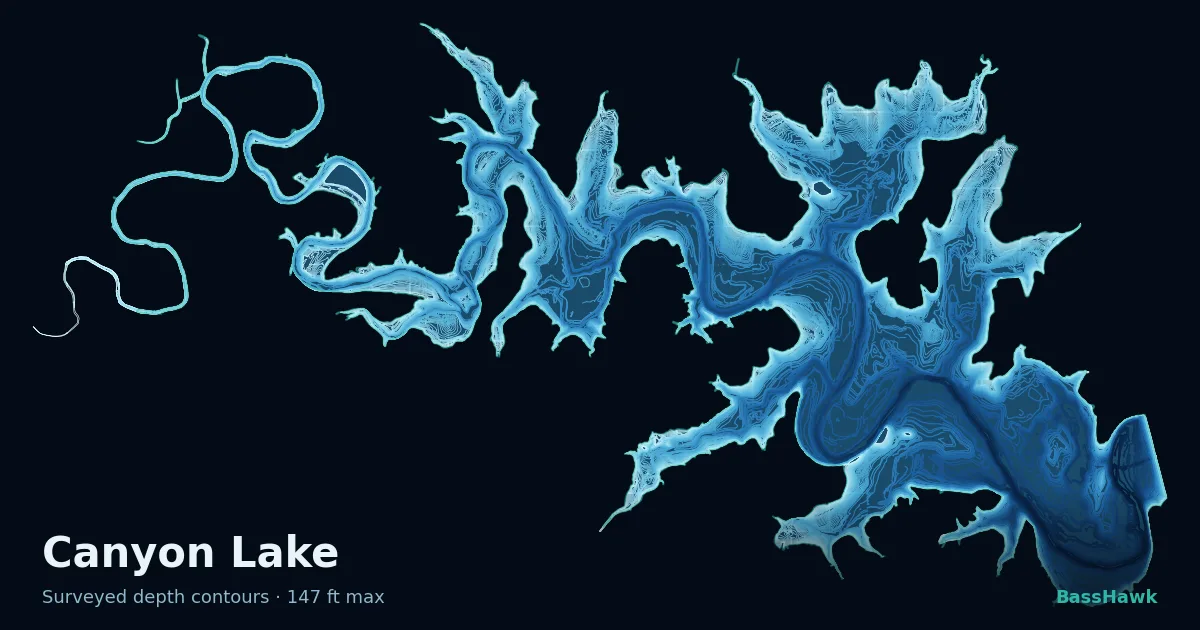 Canyon Lake depth contours — shallow flats bright, the creek channel and deep basin dark