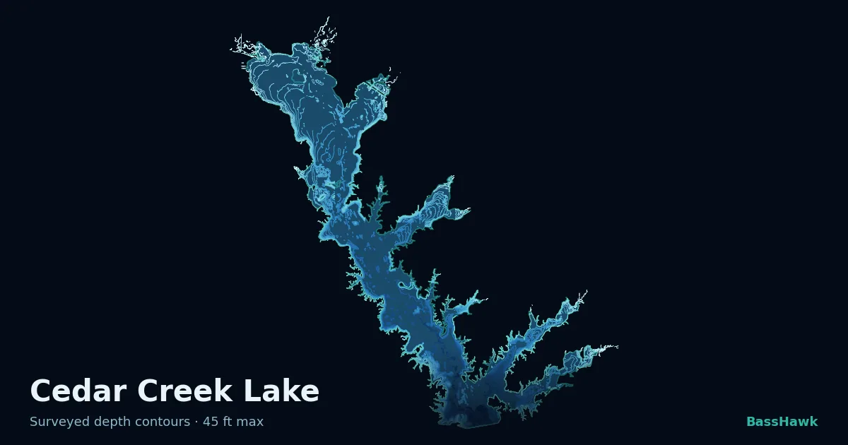 Cedar Creek Lake depth contours — shallow flats bright, the creek channel and deep basin dark