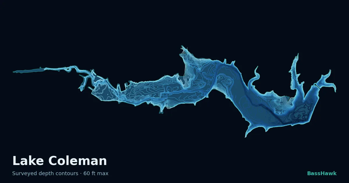 Lake Coleman depth contours — shallow flats bright, the creek channel and deep basin dark