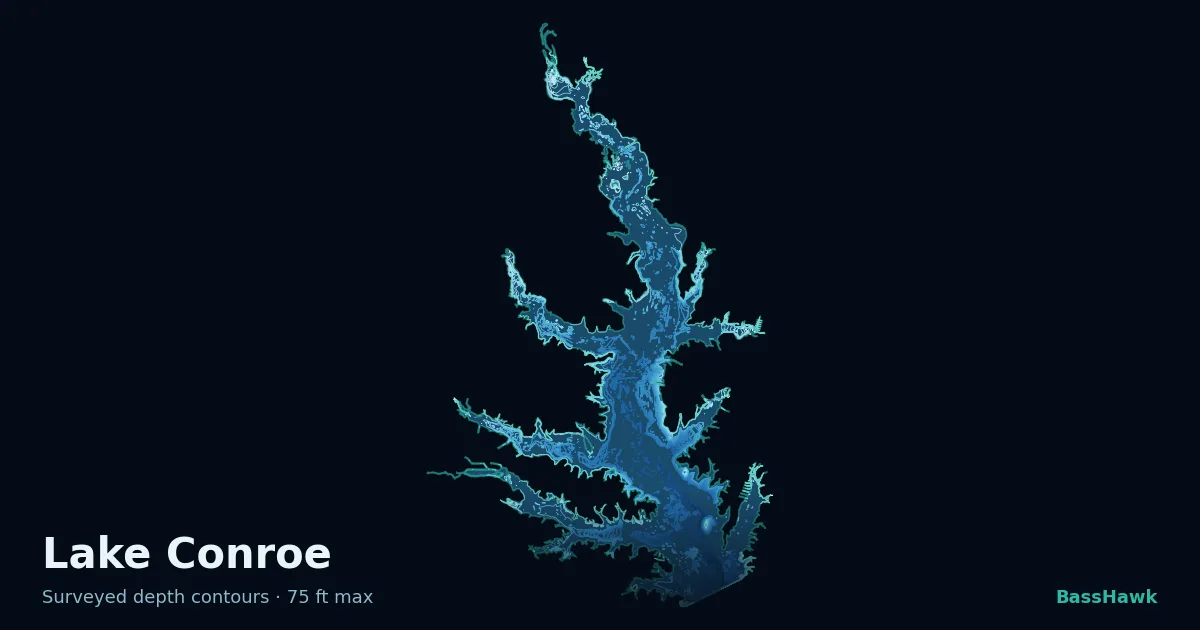 Lake Conroe depth contours — shallow flats bright, the creek channel and deep basin dark