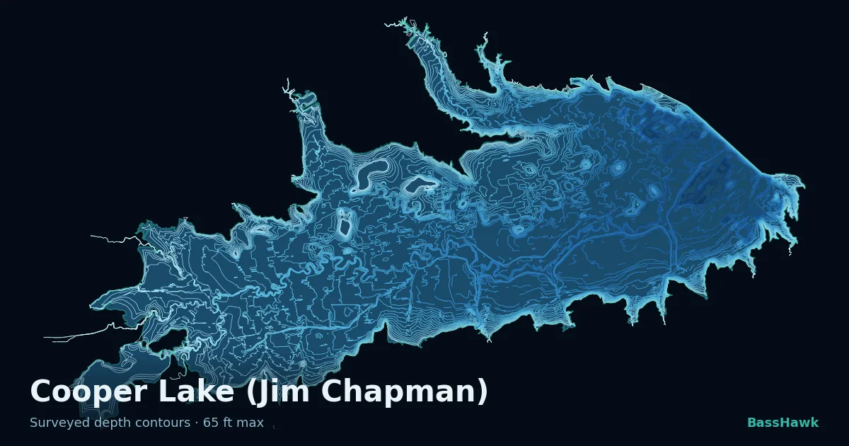Cooper Lake (Jim Chapman) depth contours — shallow flats bright, the creek channel and deep basin dark