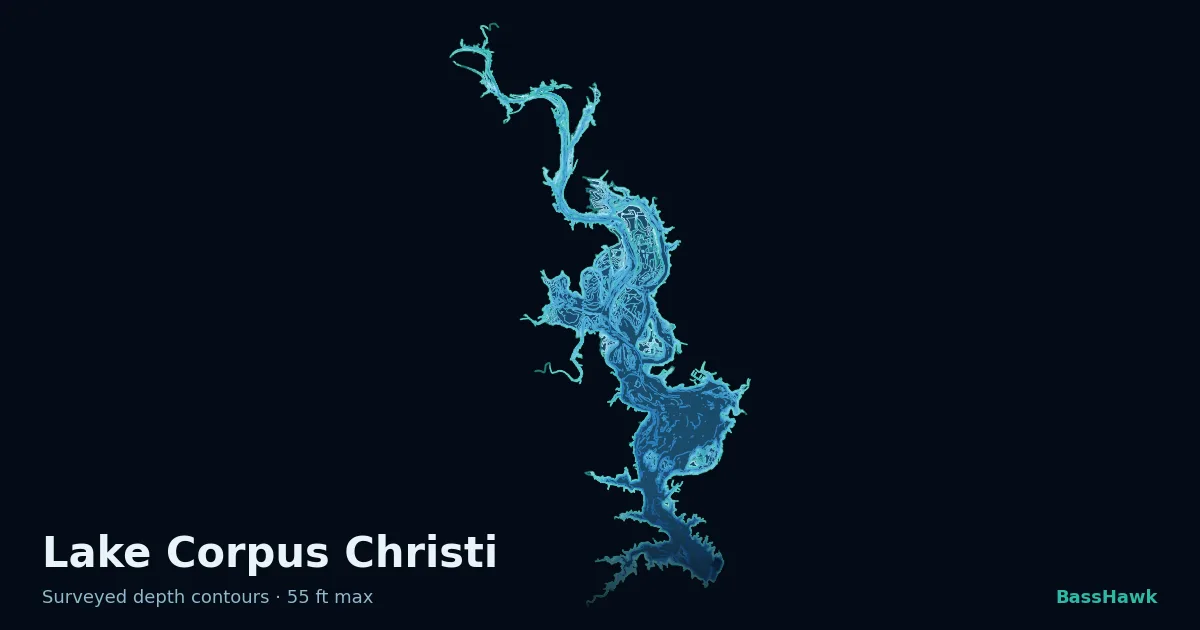 Lake Corpus Christi depth contours — shallow flats bright, the creek channel and deep basin dark