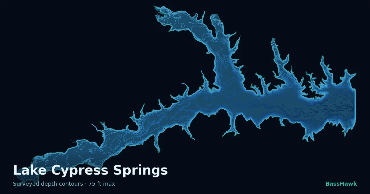 Lake Cypress Springs depth contours — shallow flats bright, the creek channel and deep basin dark
