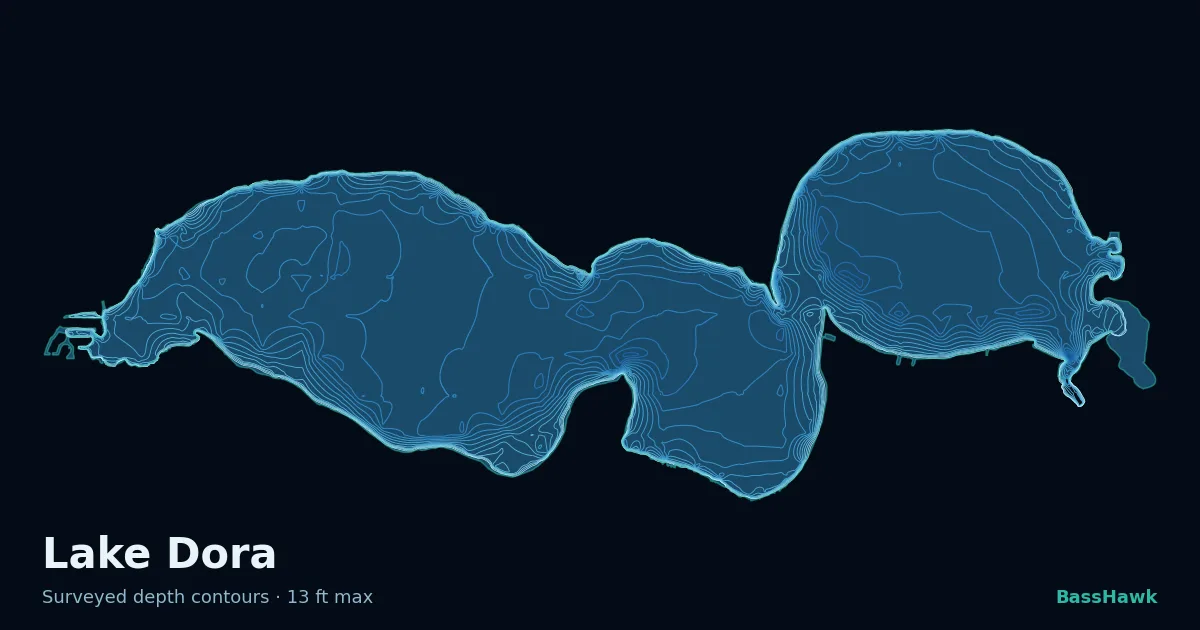 Lake Dora depth contours — shallow flats bright, the creek channel and deep basin dark