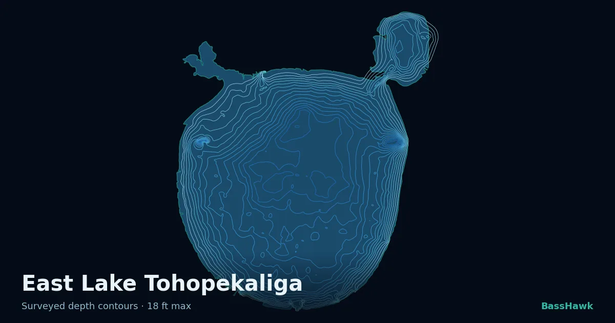 East Lake Tohopekaliga depth contours — shallow flats bright, the creek channel and deep basin dark