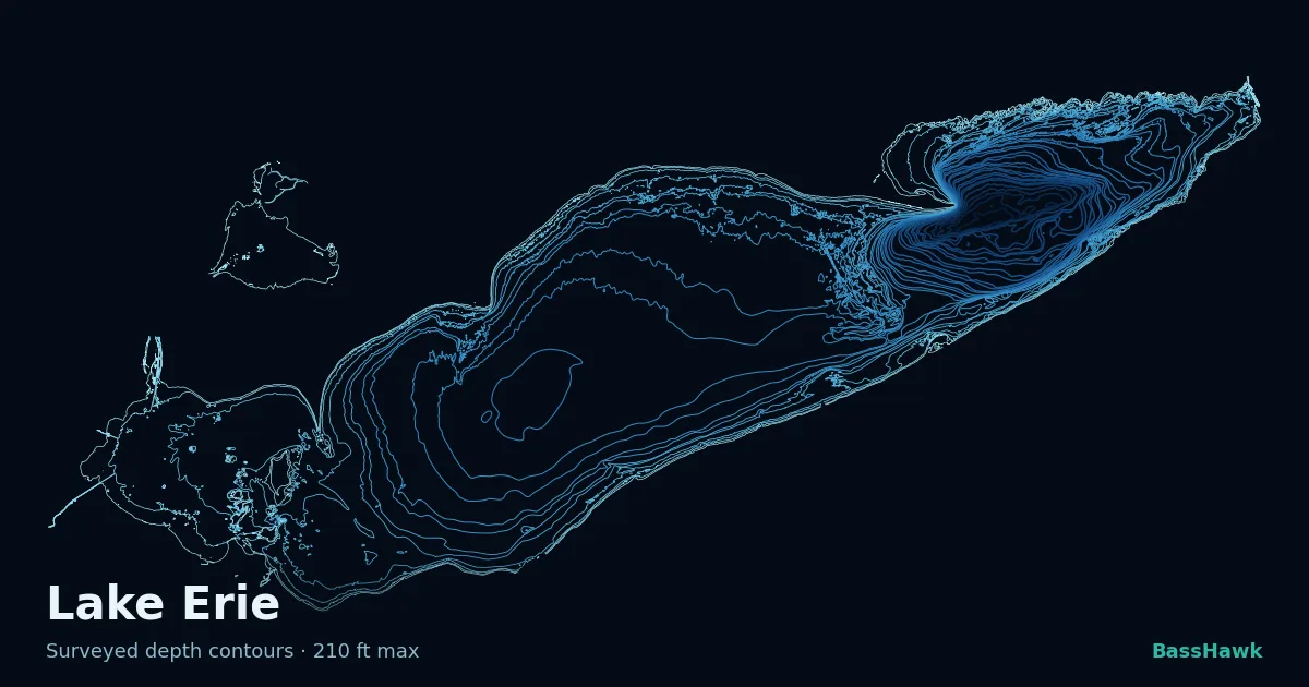 Lake Erie depth contours — shallow flats bright, the creek channel and deep basin dark