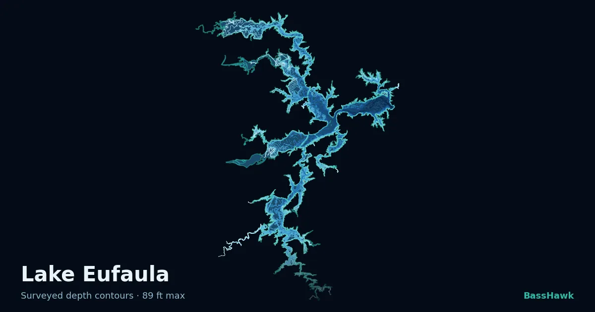 Lake Eufaula depth contours — shallow flats bright, the creek channel and deep basin dark