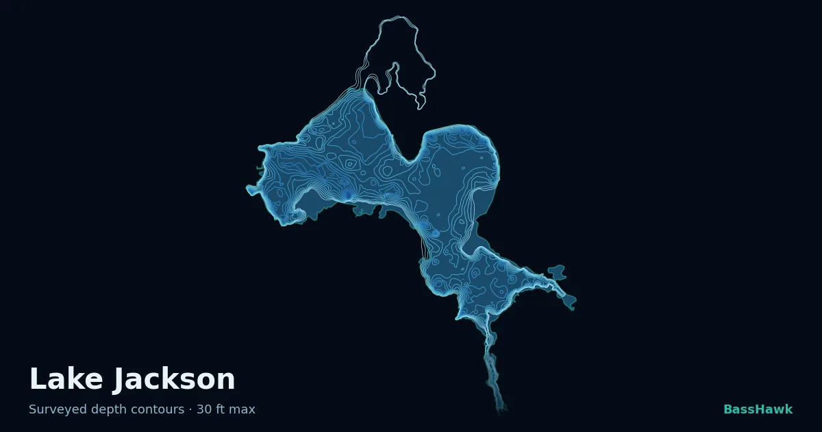Lake Jackson depth contours — shallow flats bright, the creek channel and deep basin dark