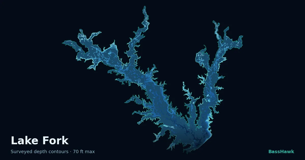 Lake Fork depth contours — shallow flats bright, the creek channel and deep basin dark