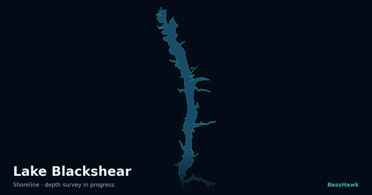 Lake Blackshear shoreline outline