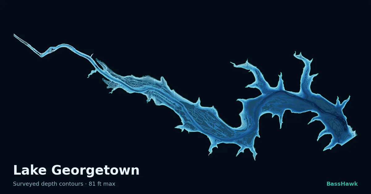 Lake Georgetown depth contours — shallow flats bright, the creek channel and deep basin dark