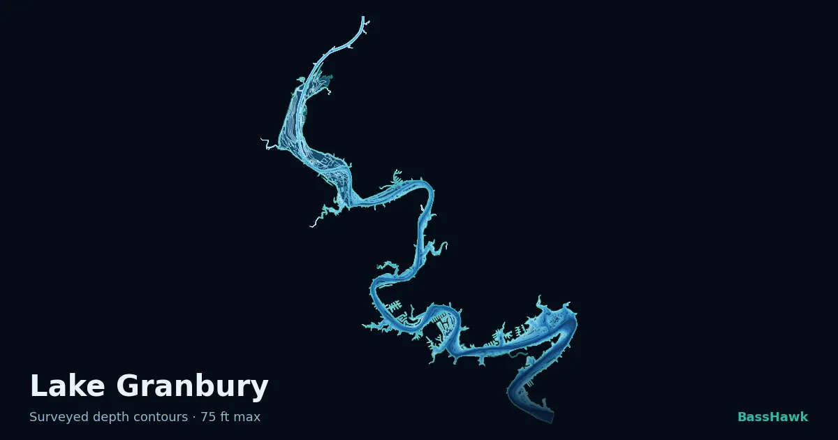 Lake Granbury depth contours — shallow flats bright, the creek channel and deep basin dark