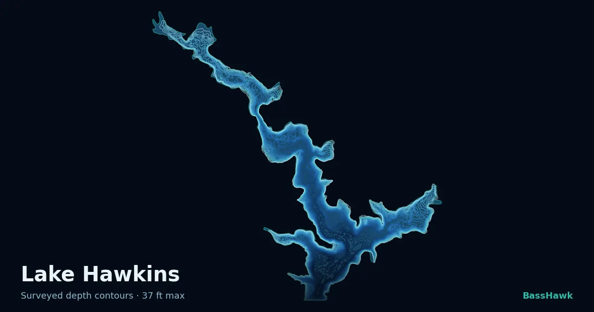 Lake Hawkins depth contours — shallow flats bright, the creek channel and deep basin dark