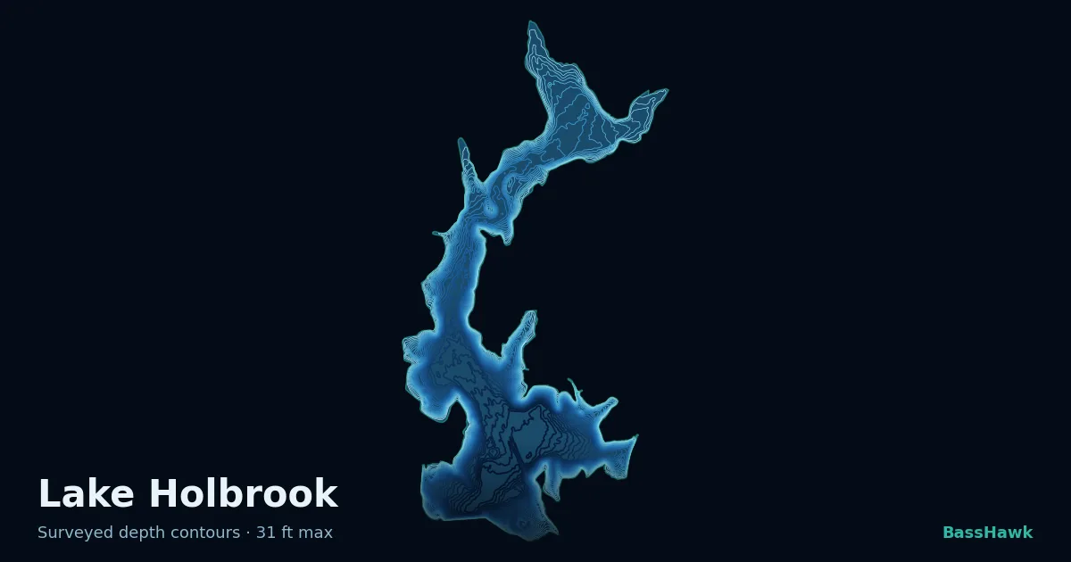Lake Holbrook depth contours — shallow flats bright, the creek channel and deep basin dark