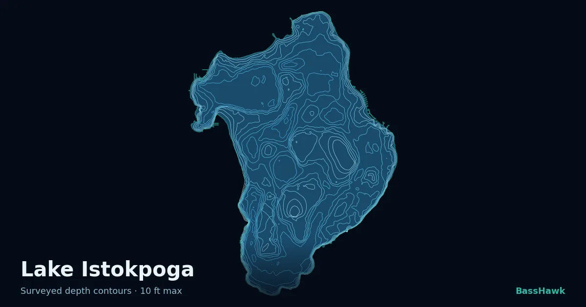 Lake Istokpoga depth contours — shallow flats bright, the creek channel and deep basin dark