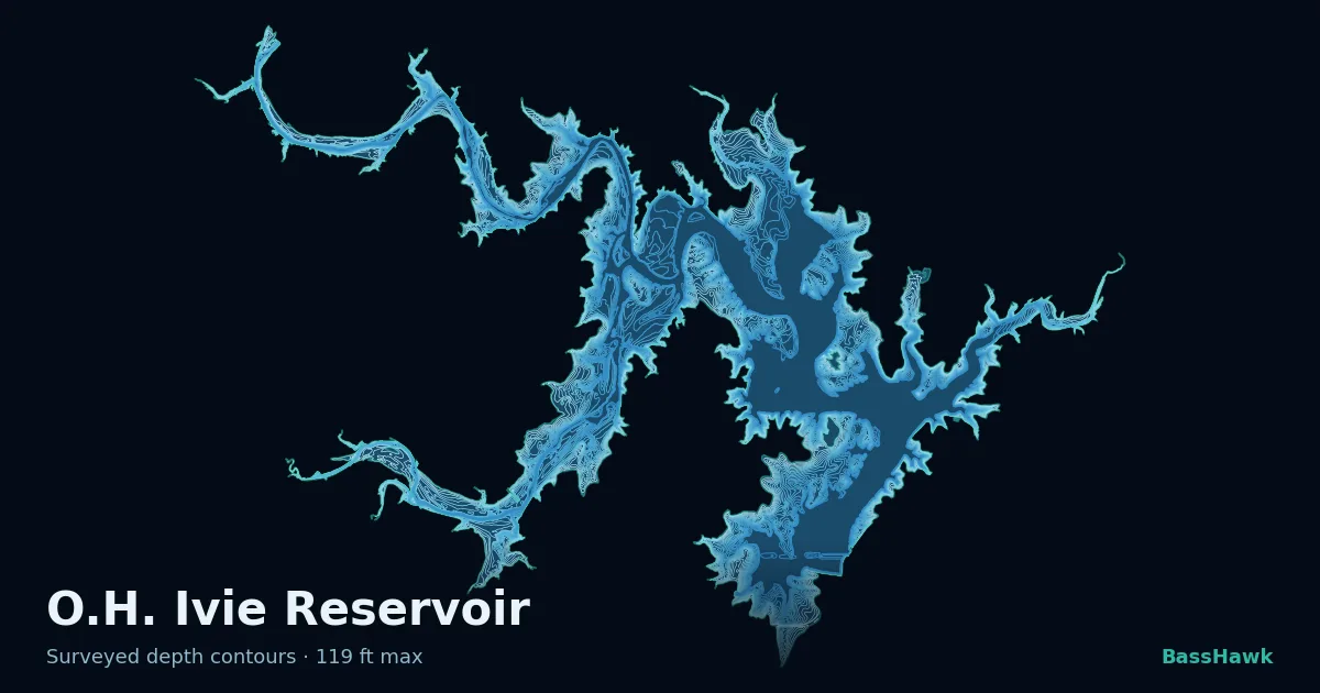 O.H. Ivie Reservoir depth contours — shallow flats bright, the creek channel and deep basin dark