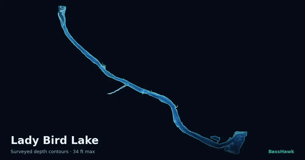 Lady Bird Lake depth contours — shallow flats bright, the creek channel and deep basin dark