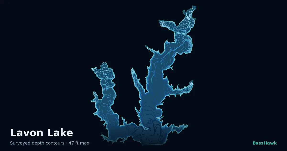 Lavon Lake depth contours — shallow flats bright, the creek channel and deep basin dark