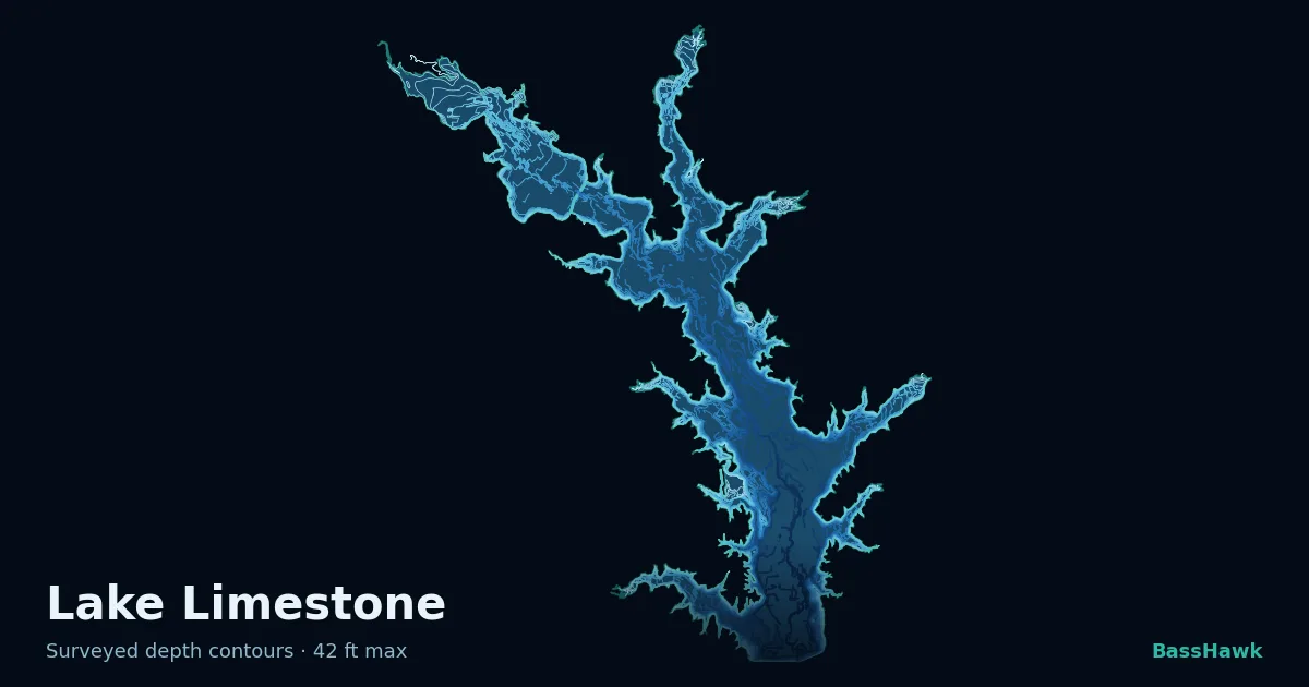 Lake Limestone depth contours — shallow flats bright, the creek channel and deep basin dark