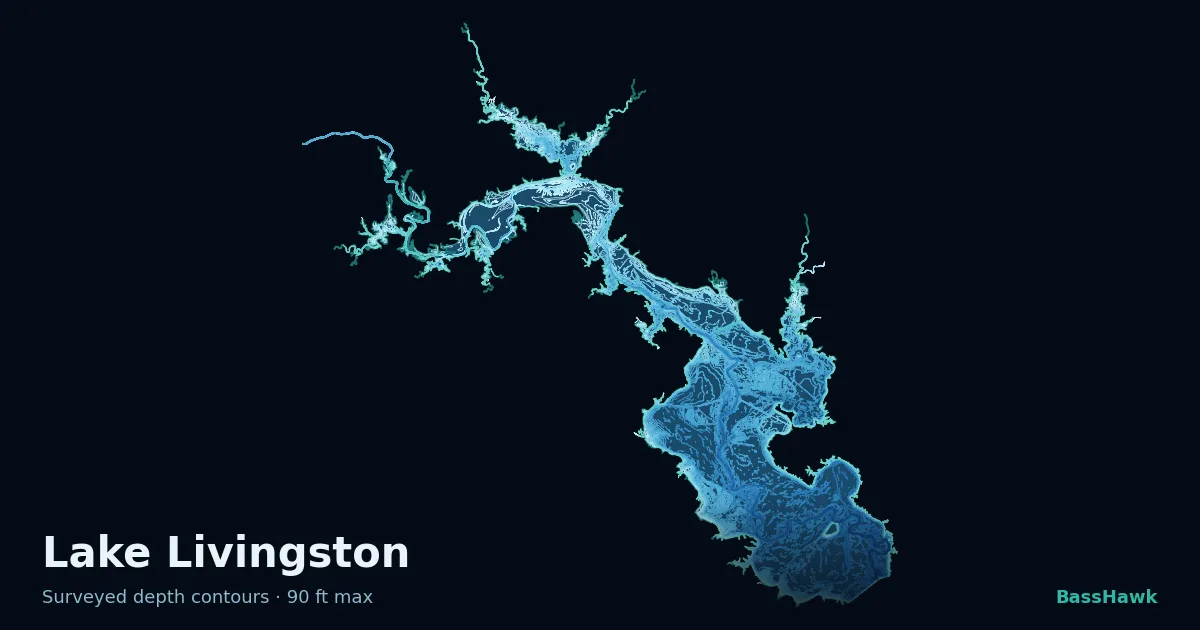 Lake Livingston depth contours — shallow flats bright, the creek channel and deep basin dark