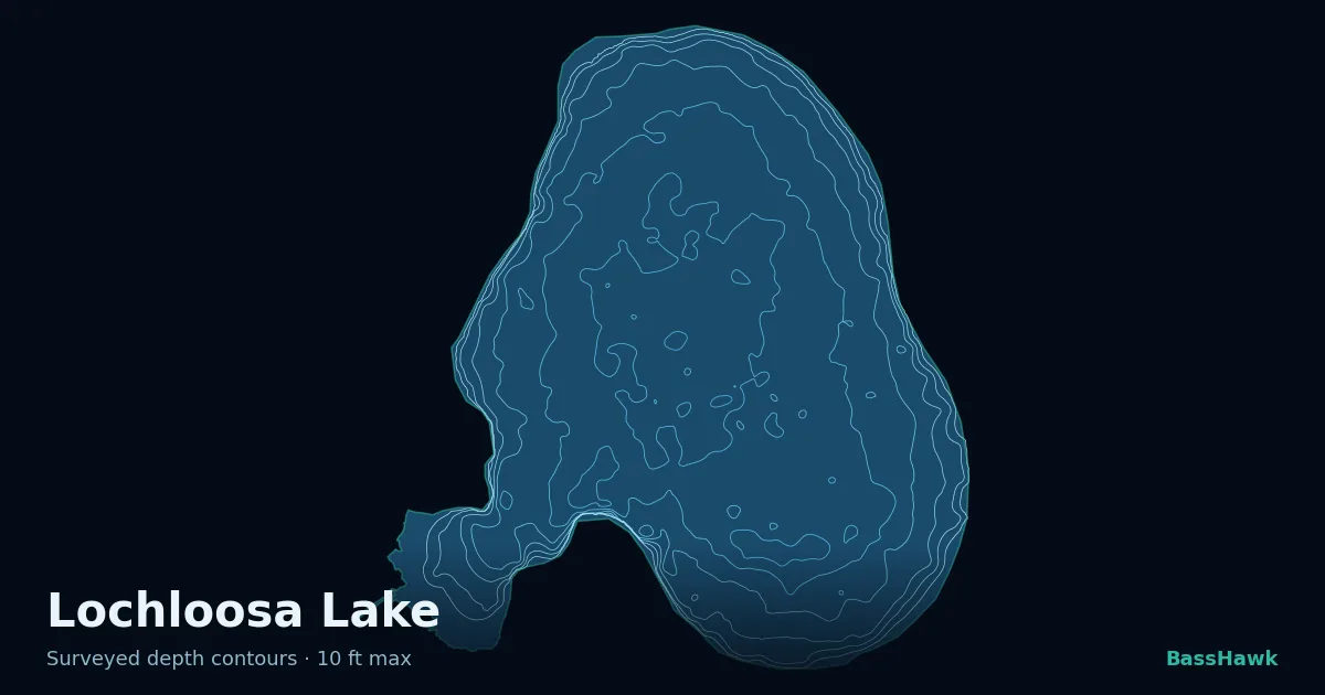 Lochloosa Lake depth contours — shallow flats bright, the creek channel and deep basin dark