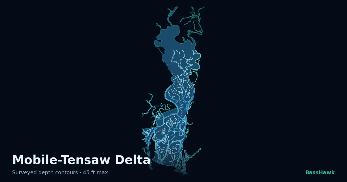 Mobile-Tensaw Delta depth contours — shallow flats bright, the creek channel and deep basin dark