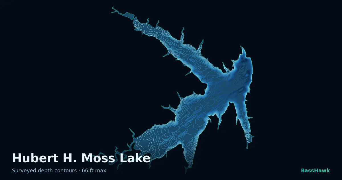 Hubert H. Moss Lake depth contours — shallow flats bright, the creek channel and deep basin dark