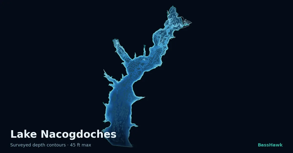 Lake Nacogdoches depth contours — shallow flats bright, the creek channel and deep basin dark