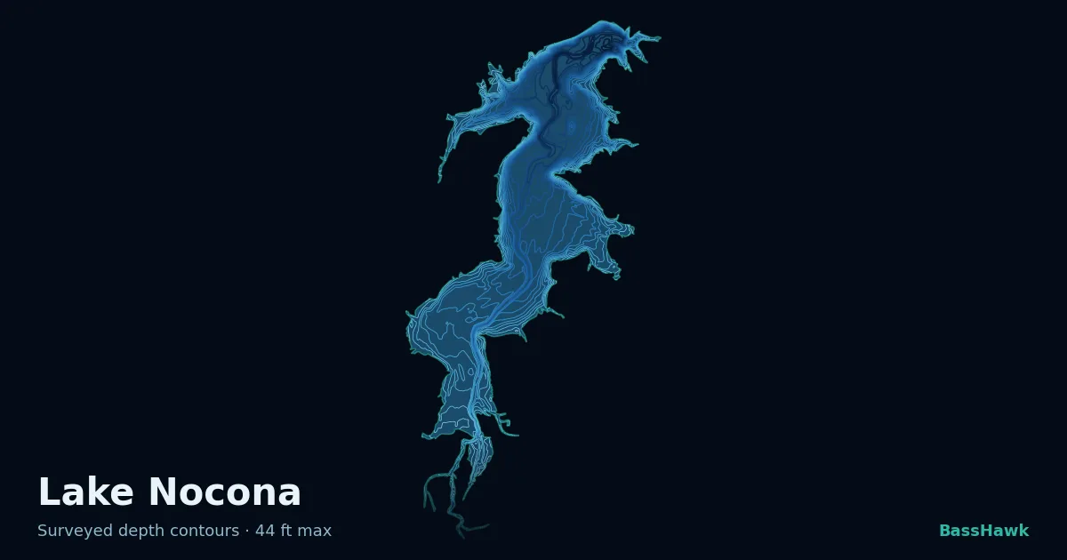 Lake Nocona depth contours — shallow flats bright, the creek channel and deep basin dark