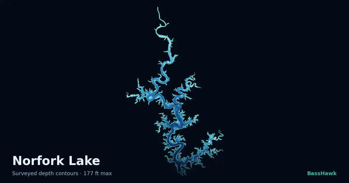 Norfork Lake depth contours — shallow flats bright, the creek channel and deep basin dark