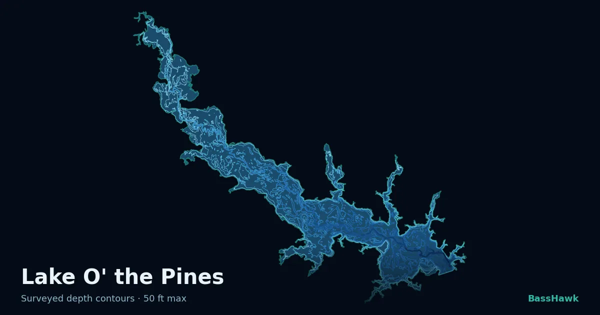 Lake O' the Pines depth contours — shallow flats bright, the creek channel and deep basin dark