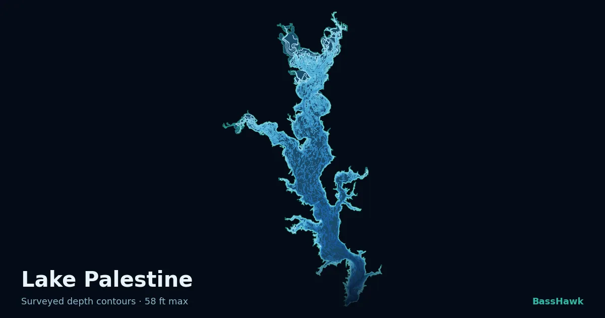 Lake Palestine depth contours — shallow flats bright, the creek channel and deep basin dark
