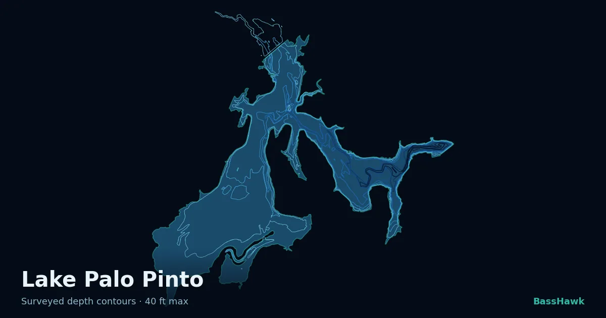 Lake Palo Pinto depth contours — shallow flats bright, the creek channel and deep basin dark