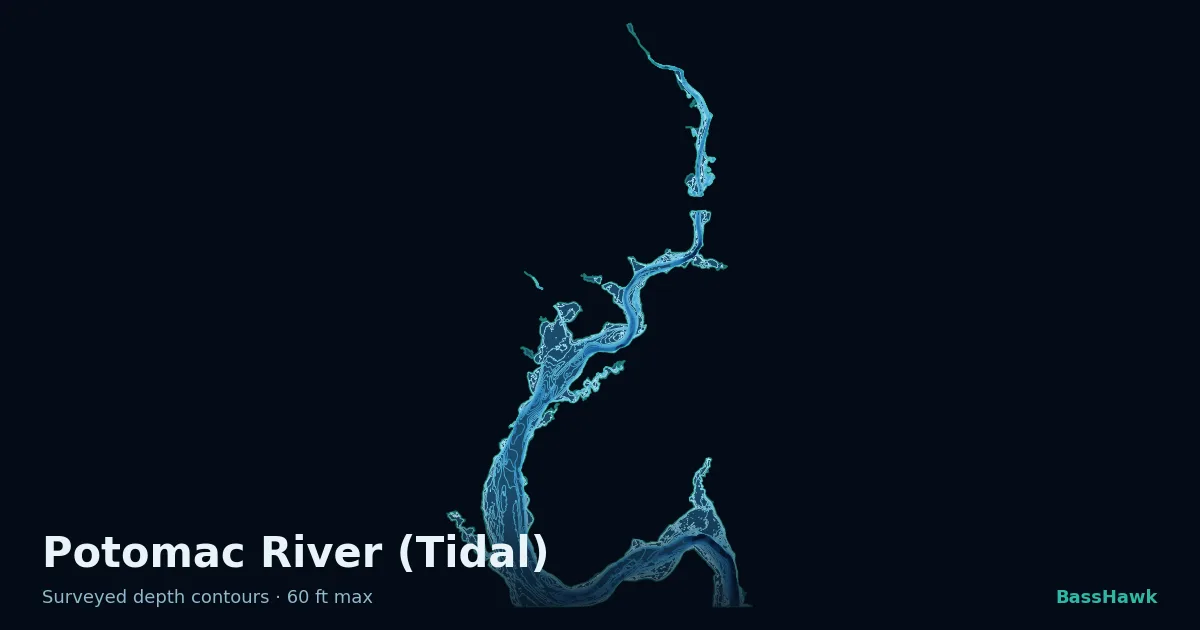 Potomac River (Tidal) depth contours — shallow flats bright, the creek channel and deep basin dark