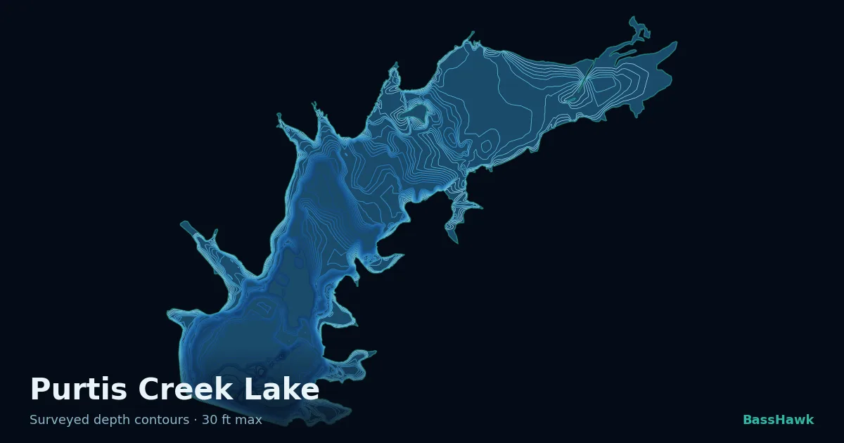 Purtis Creek Lake depth contours — shallow flats bright, the creek channel and deep basin dark