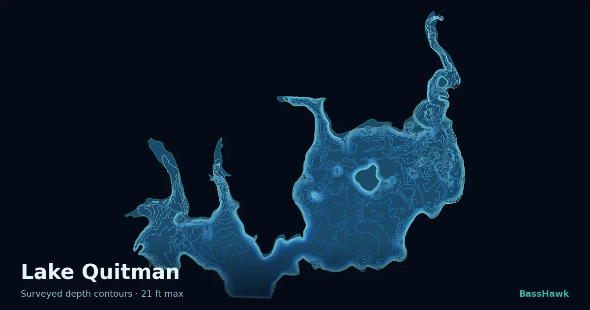 Lake Quitman depth contours — shallow flats bright, the creek channel and deep basin dark