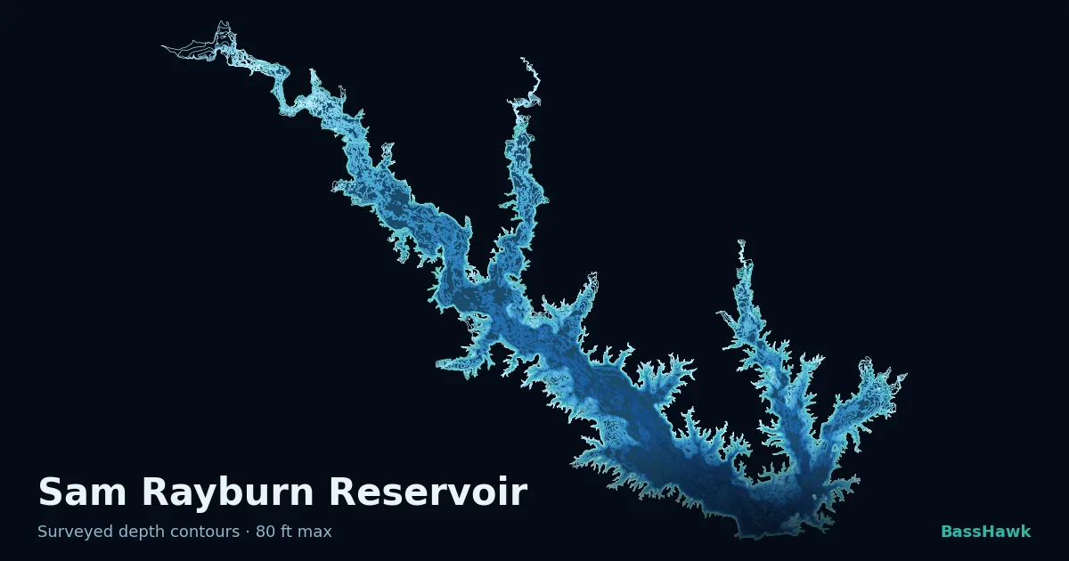 Sam Rayburn Reservoir depth contours — shallow flats bright, the creek channel and deep basin dark