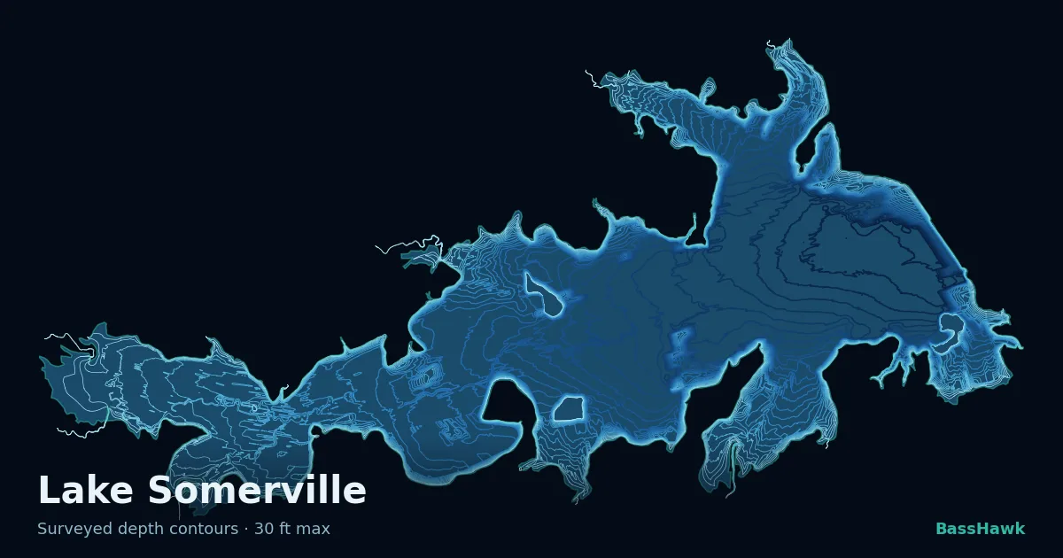 Lake Somerville depth contours — shallow flats bright, the creek channel and deep basin dark